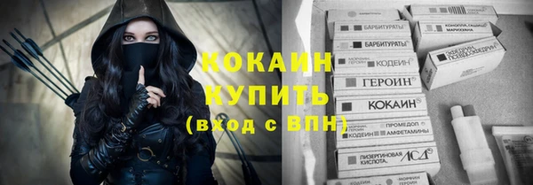 дурь Алексин