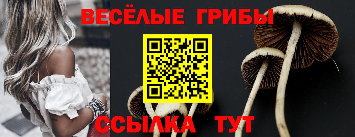 Дмитров  Галлюциногенные грибы MAGIC MUSHROOMS  Вход с VPN 
